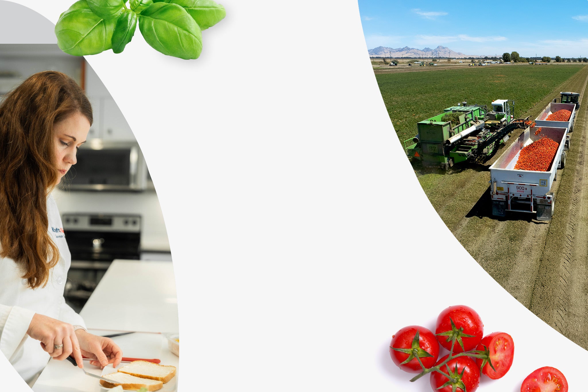 Together at the Table